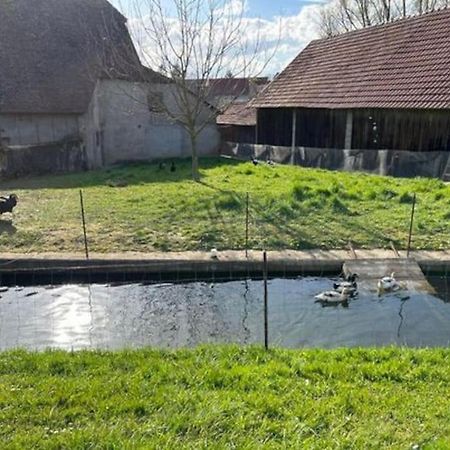 فيلا Maison Au Sein D'Une Ferme Rahling المظهر الخارجي الصورة
