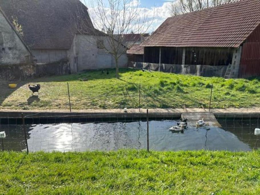فيلا Maison Au Sein D'Une Ferme Rahling المظهر الخارجي الصورة